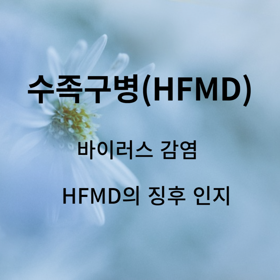 상태: 수족구병(HFMD)