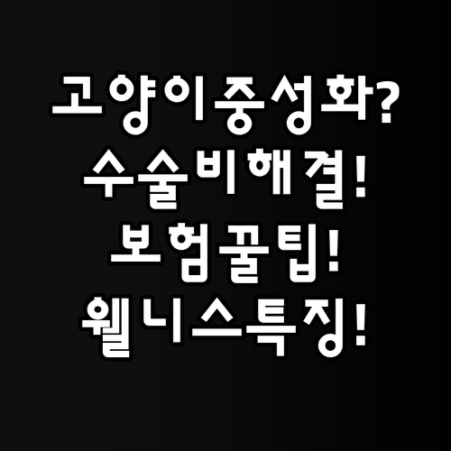 고양이 중성화 수술비 보험으로 해결하..