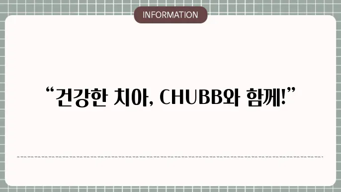 보험 선택 시 고려사항