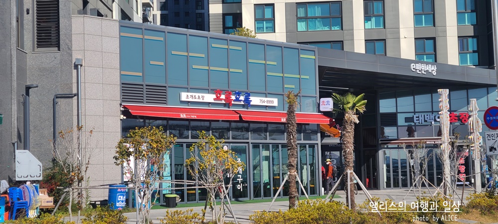 부산 켄트호텔 주변 가볼만한 곳 민락회타운 시장