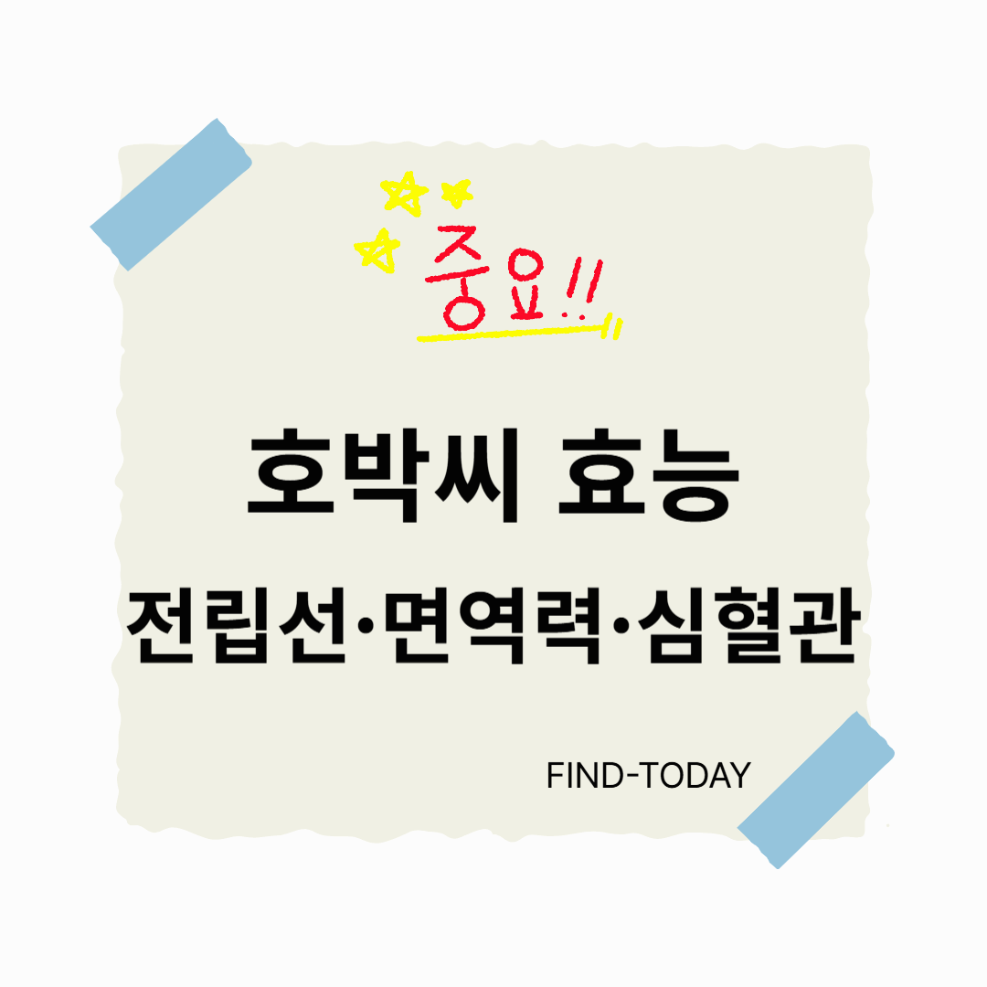 호박씨 효능 : 전립선·면역력·심혈관