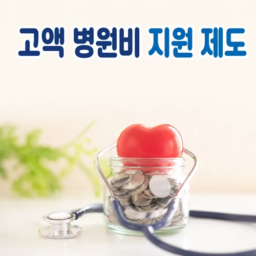 고액 병원비 지원 제도