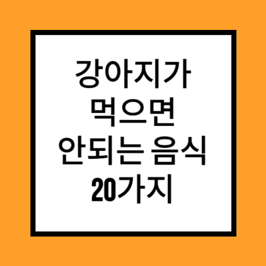 강아지가 먹으면 안되는 음식