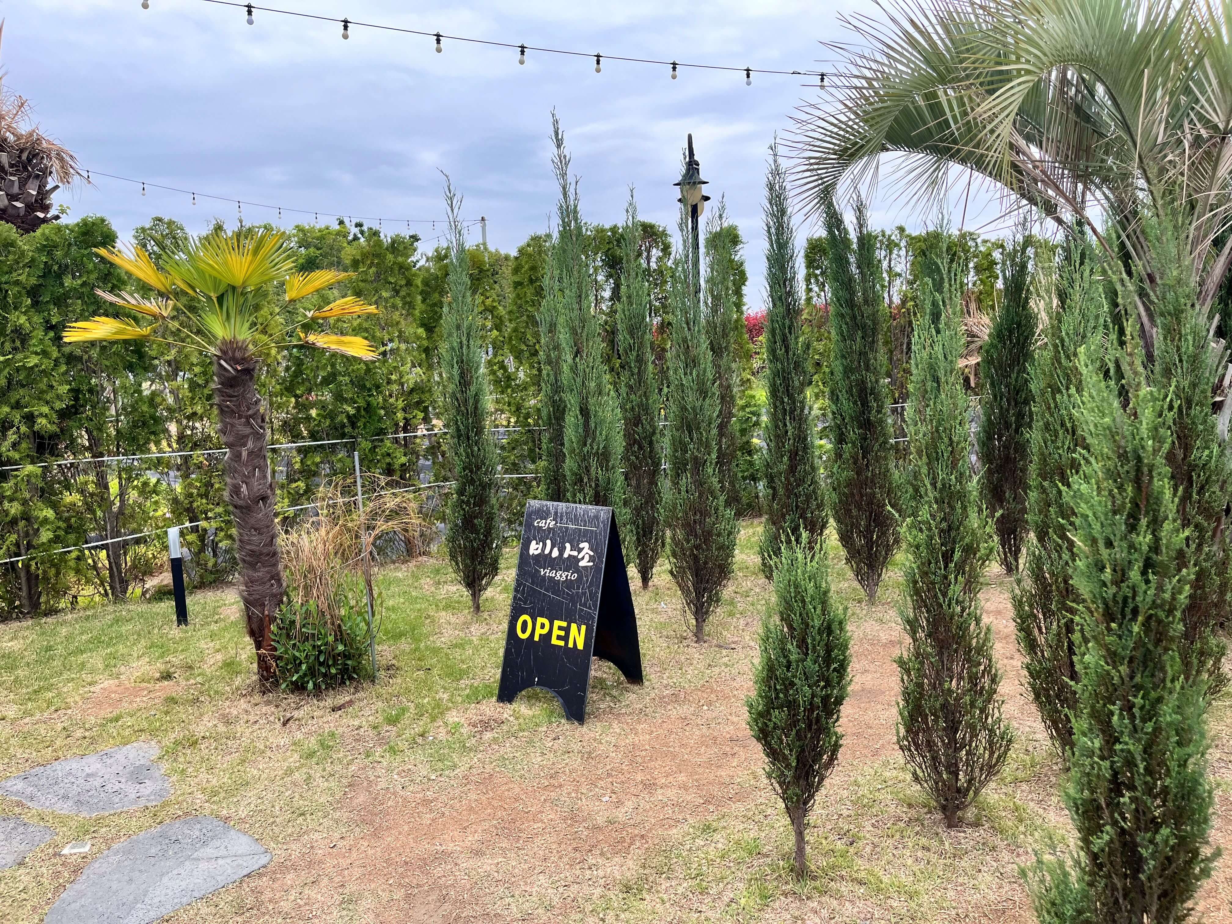 대형카페 비아조