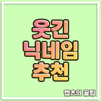 웃긴 닉네임 추천 재밌는 닉네임 웃긴 이름 모음_10
