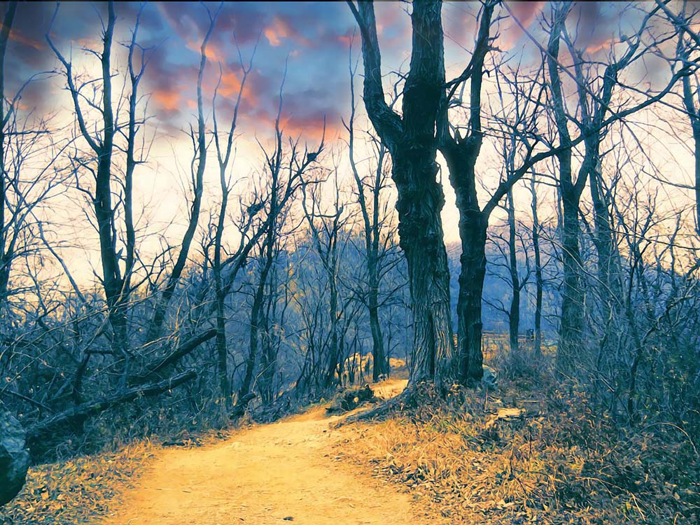 걷고 사랑하며: 산책하기 좋은 안산자락길