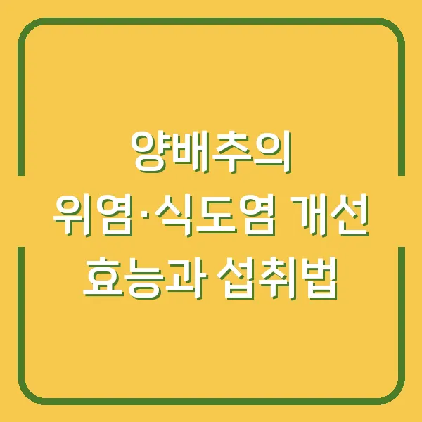 양배추의 위염·식도염 개선 효능과 섭취법