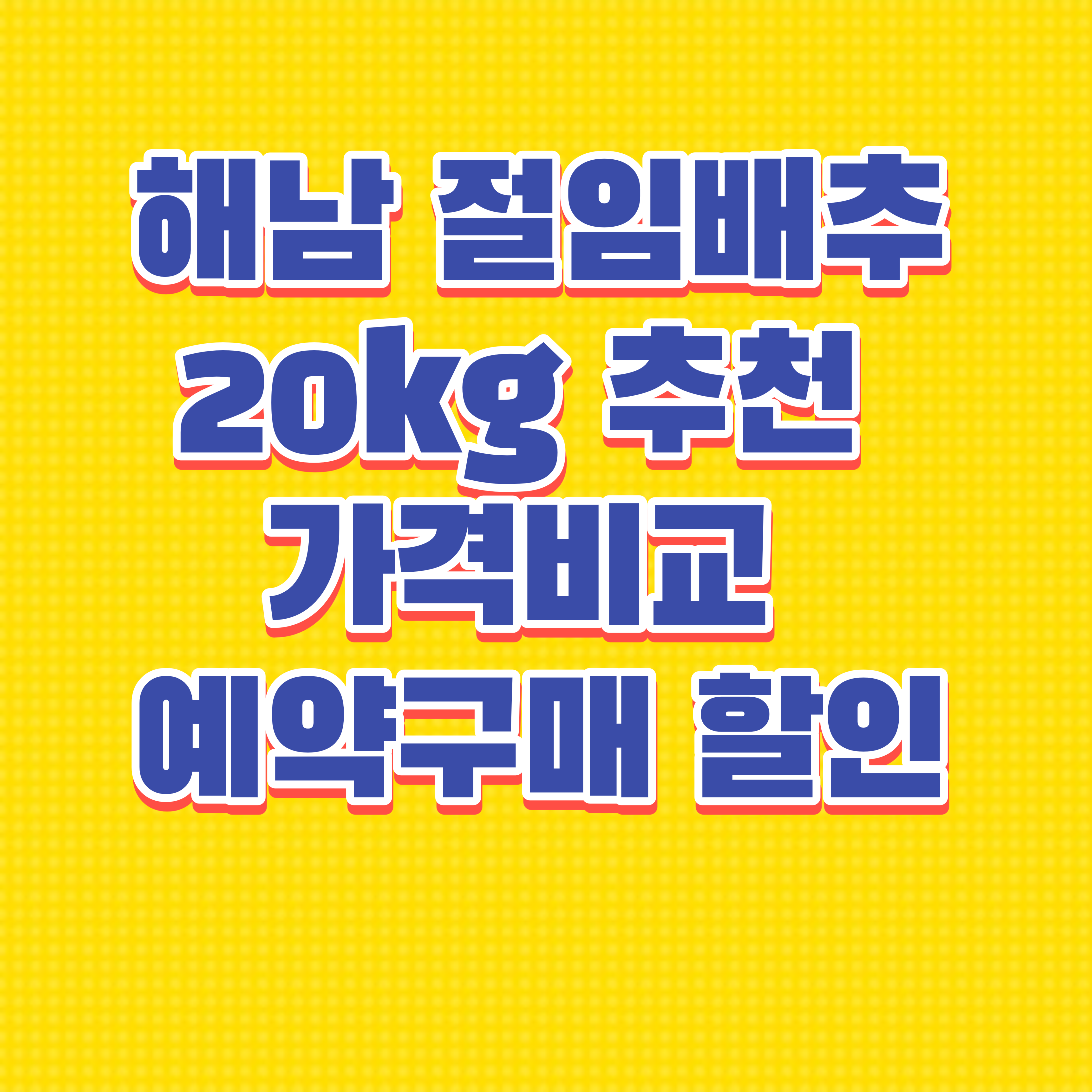 해남배추 썸네일