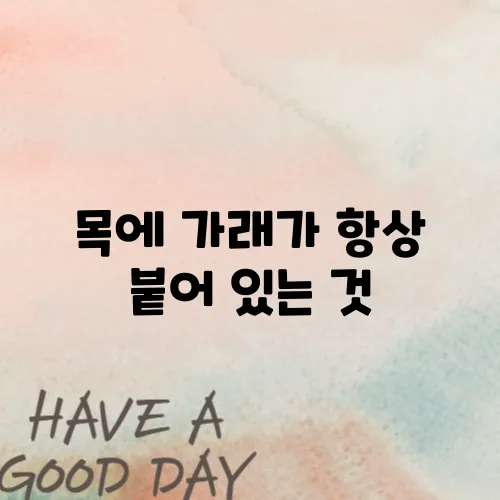목에 가래가 항상 붙어 있는 것