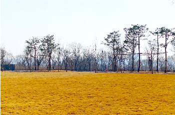 프리캠핑존