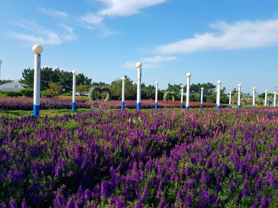 10월 지역 축제 충남 충북 가을 축제 정보