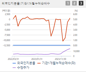 네오셈 주가 전망