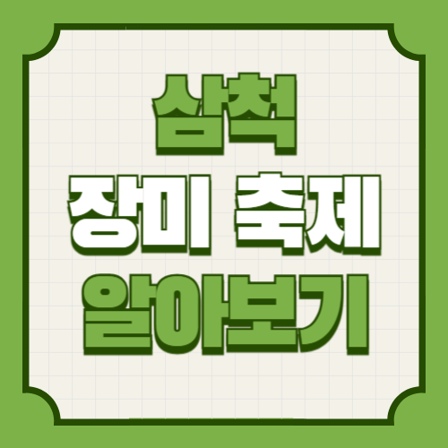 삼척 장미 축제 기본정보 라인업, 에어쇼