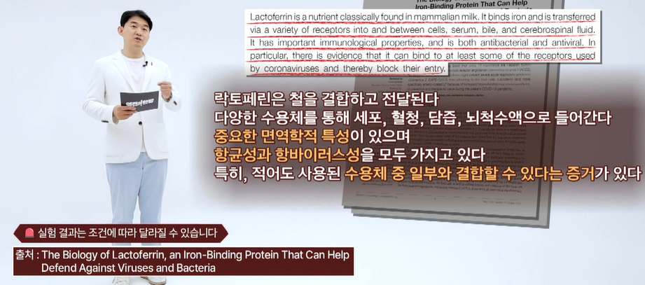 락토페린 효능