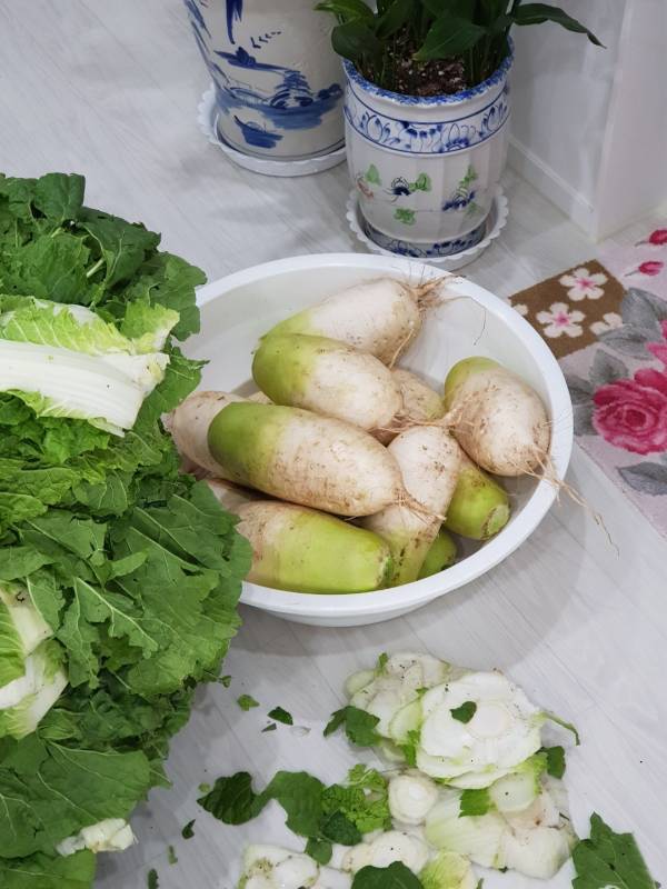 영천 장날에 구매한 김장무