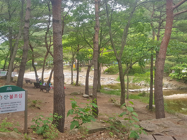 용현자연휴양림 산책로