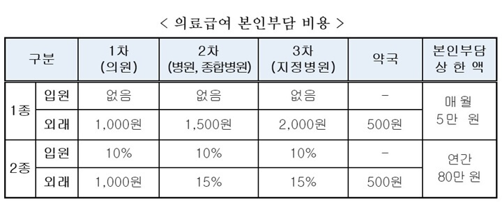 의료급여 본인 부담 비용