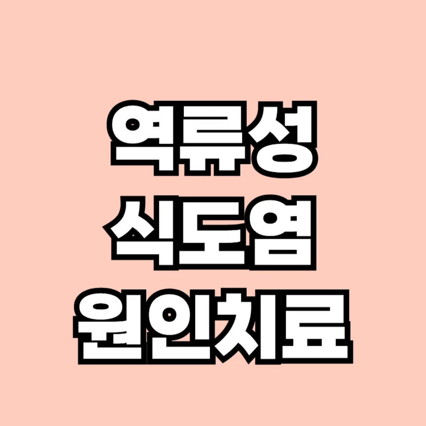 역류성 식도염 치료