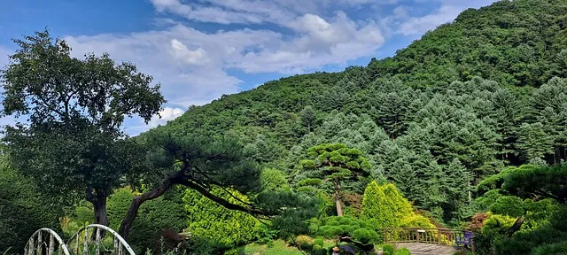 가평 가볼만한곳 베스트10 호수 산책 여행지 추천 리스트_5
