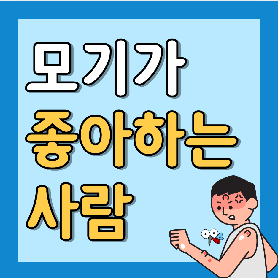 모기가 좋아하는 사람