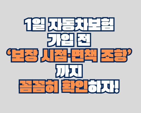 1일 자동차보험