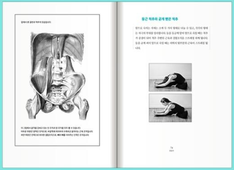 인요가( YIN YOGA): 나에게 주는 최고의 이완과 휴식 / 폴 그릴리&#44; 판미동