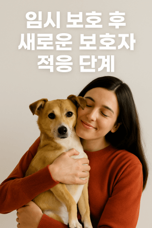 입양 후 강아지 적응 단계 : 임보 후 새 보호자가 꼭 알아야 할 것