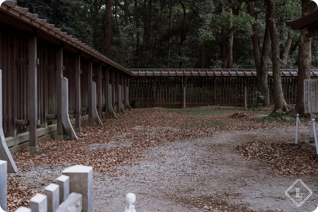 메이지 신궁 길목 01