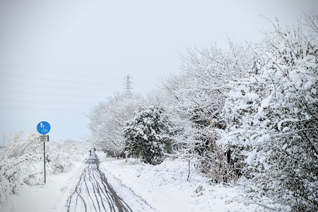 오늘 날씨 대설경보 실시간 확인 완벽 정리