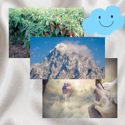 사주에나타나는질병