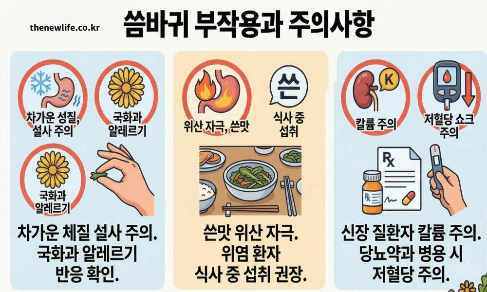 씀바귀 효능 부작용