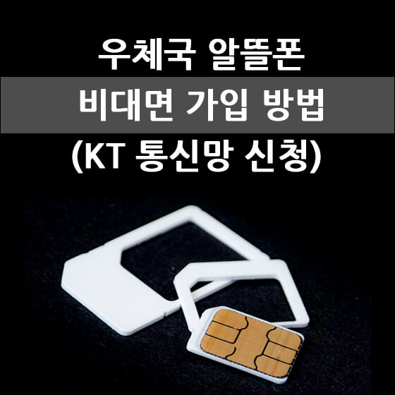 심카드와 심트레이