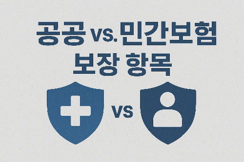 공공 vs. 민간 보험 보장 항목