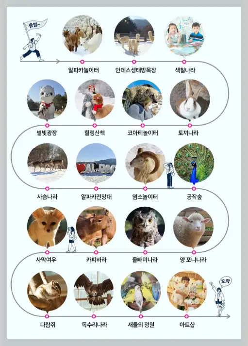 숲속의 요정 알파카를 만나는 시간