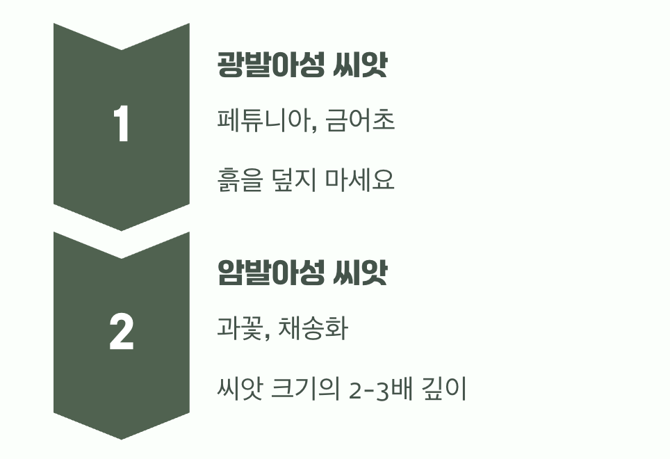빛이냐 어둠이냐, 그것이 문제로다