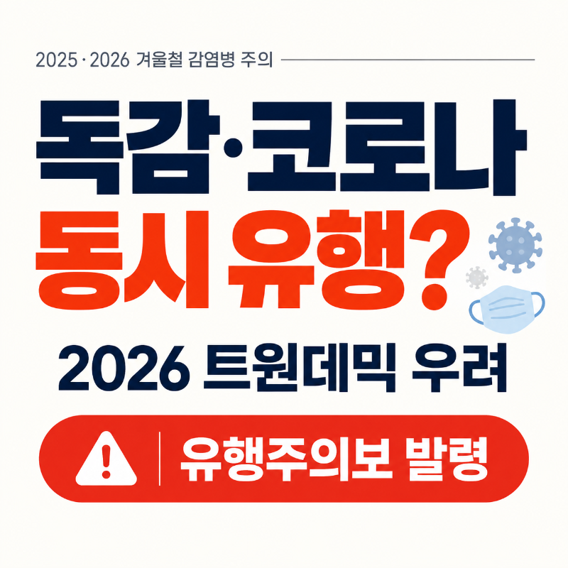 2026 독감 코로나 동시 유행과 트윈데믹 우려 대표 이미지