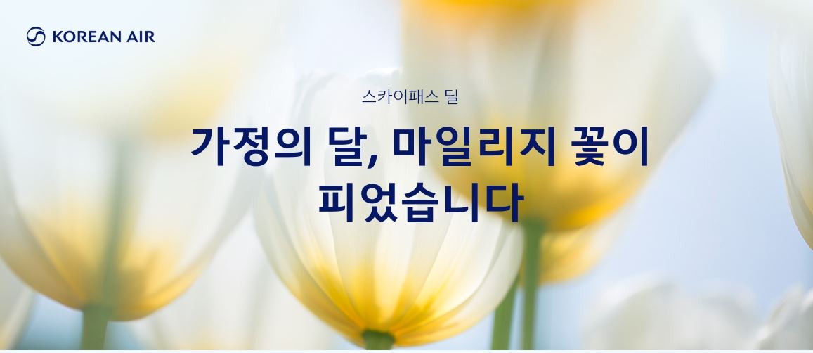 대한항공-마일리지-예매(비행기-티켓-예약-및-운항-스케줄)