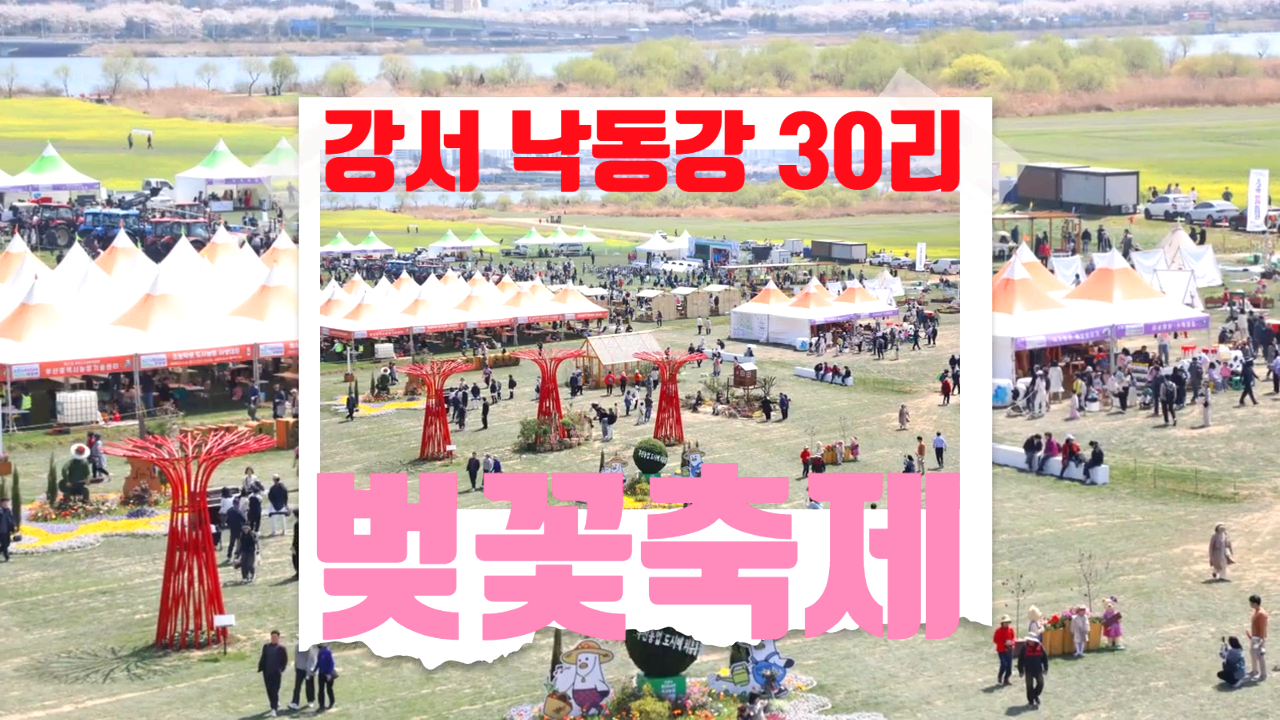 강서 낙동강 30리 벚꽃축제