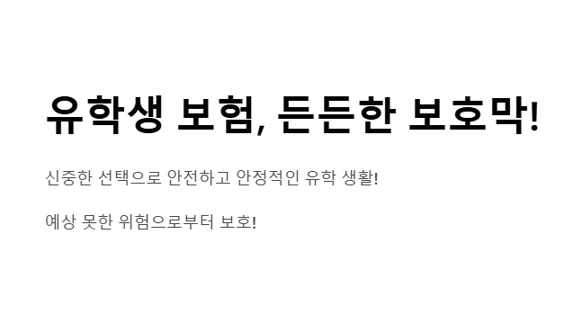 유학생 보험 - 유학 중 발생할 수 있는 의료·사고·법률 문제를 대비