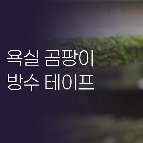 욕실 곰팡이, 더 이상 참지 마세요!..