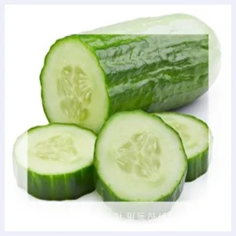 nv_오이 탕탕이 레시피_14