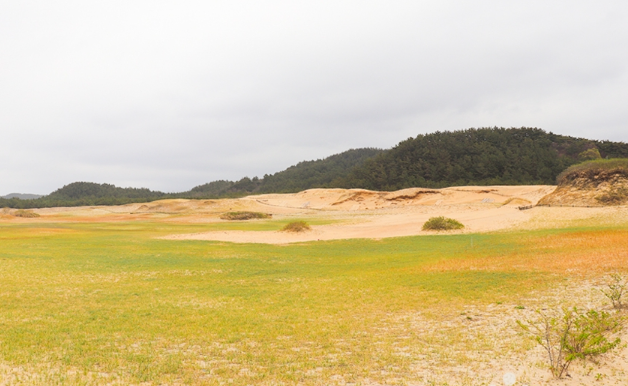 신두리 해안사구