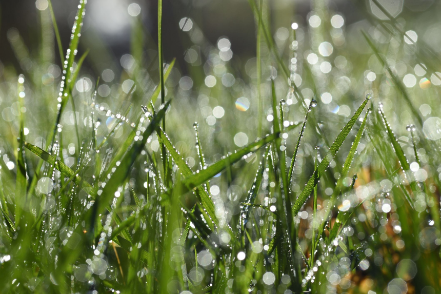 계절의 변화를 세분화한 24 절기 중 &amp;#39;한로&amp;#39; 이해하기