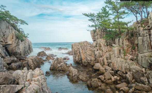 2024 서해 해수욕장 개장일(인천, 충남, 전북)