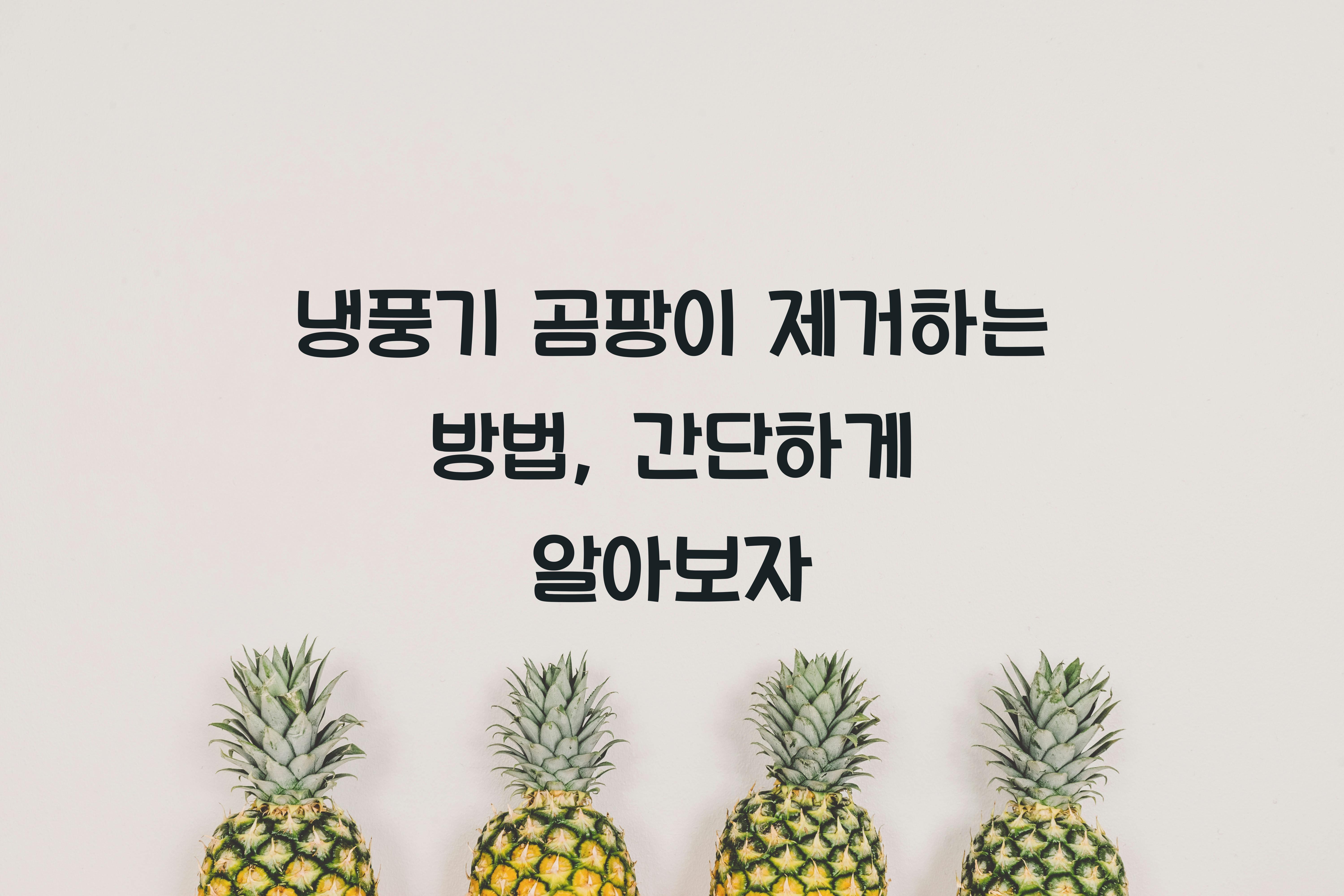 냉풍기 곰팡이 제거하는 방법