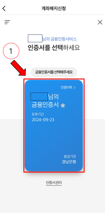 어카운트인포