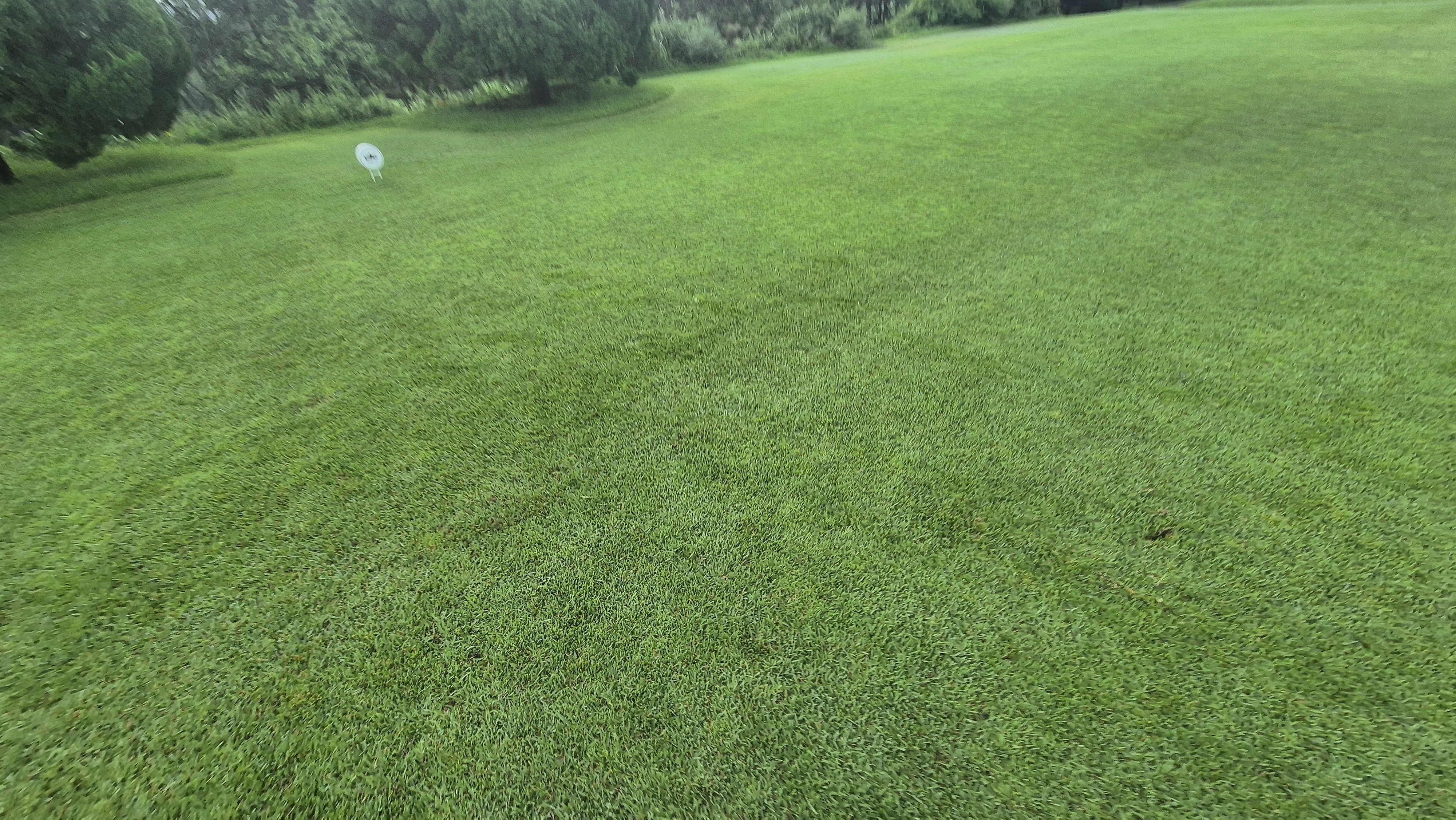 도고cc 티잉구역상태