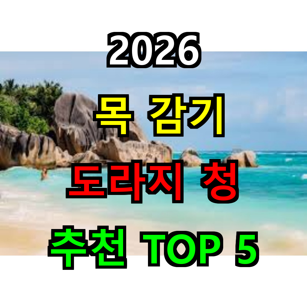 2026 목 감기 도라지청 추천 TOP 5