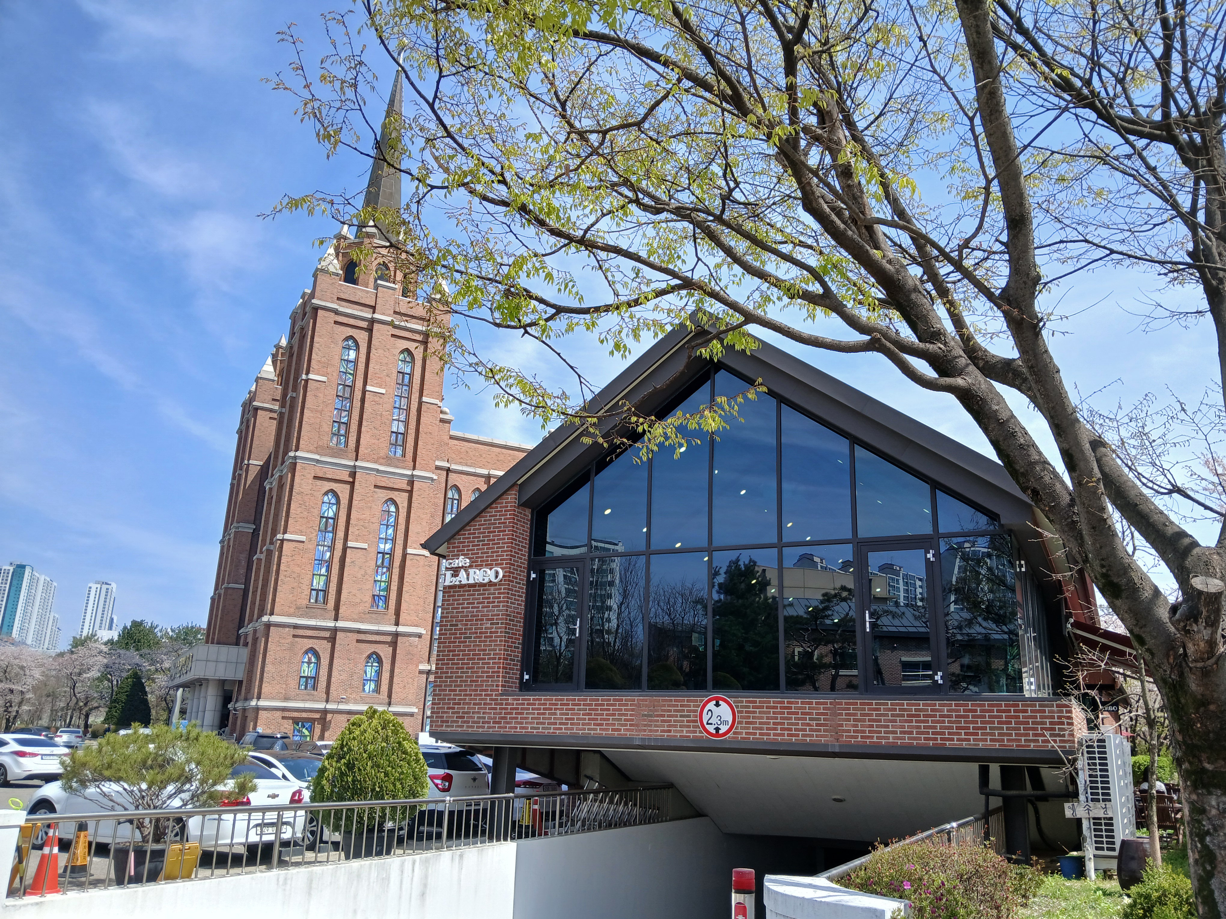 서호공원 옆 벚꽃 포토스팟에 위치한 카페 라르고