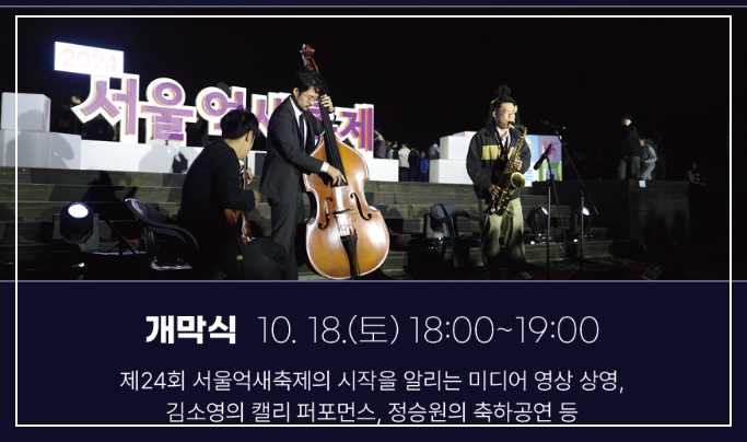 서울-억새축제-상암-10